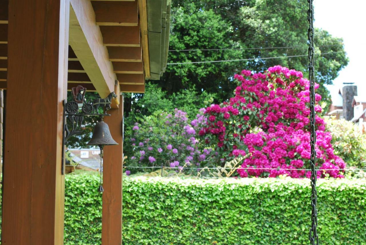 Frontera Pucon Hostel B&B Luaran gambar